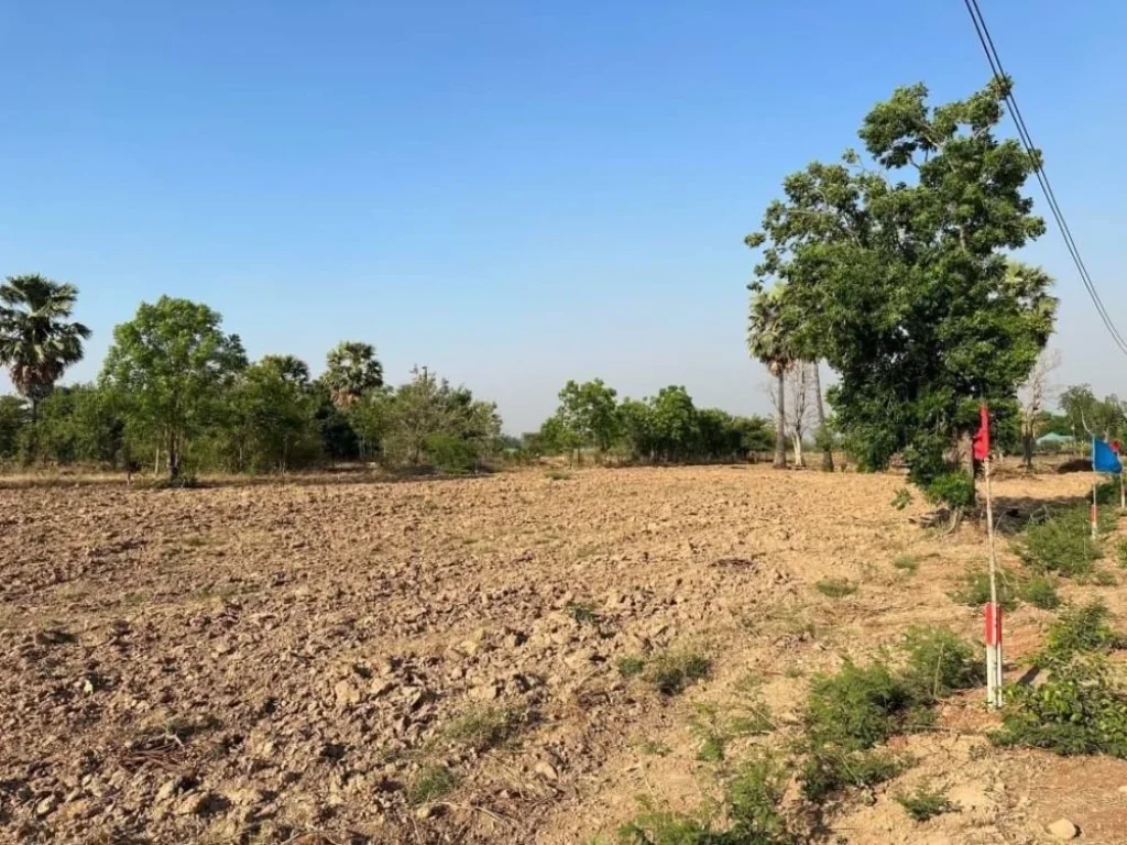 ขายที่ดินโคกตูม ทำเลดีใกล้ขนส่งใหม่ เริ่ม 100 ตรว เมือง