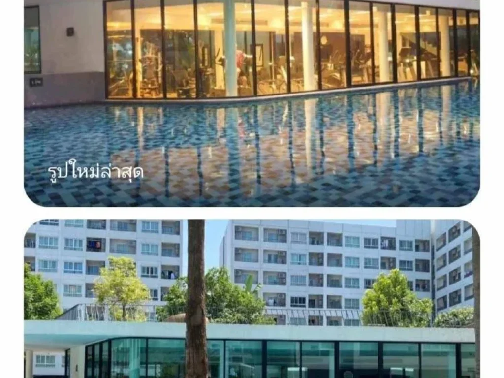 ให้เช่า คอนโด Elio Delray condominium Bts อุดมสุขและปุณณวิถี