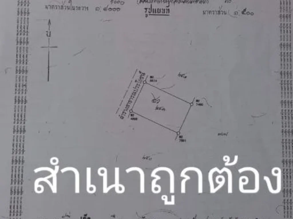 ีที่ดินสวย 495ตรว วโรชา6 ถมดินสูง ถูกใจลดให้สุดๆ