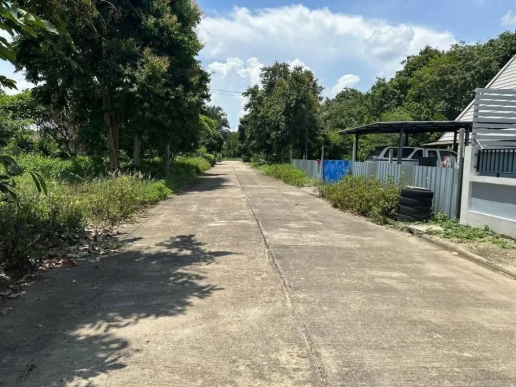 ขายที่ดินแปลงสวย 100 ตรว อสันทราย จังหวัดเชียงใหม่