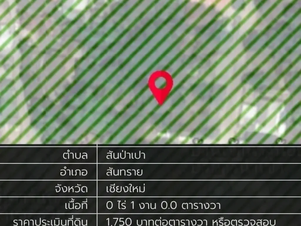 ขายที่ดินแปลงสวย 100 ตรว อสันทราย จังหวัดเชียงใหม่