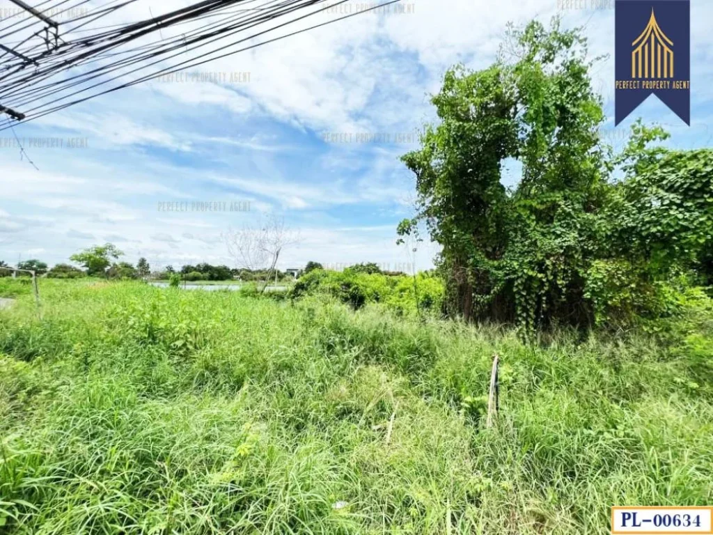 ที่ดินเปล่า 107 ไร่ ติดถนนบางนาตราด สีส้มลายจุดขาว