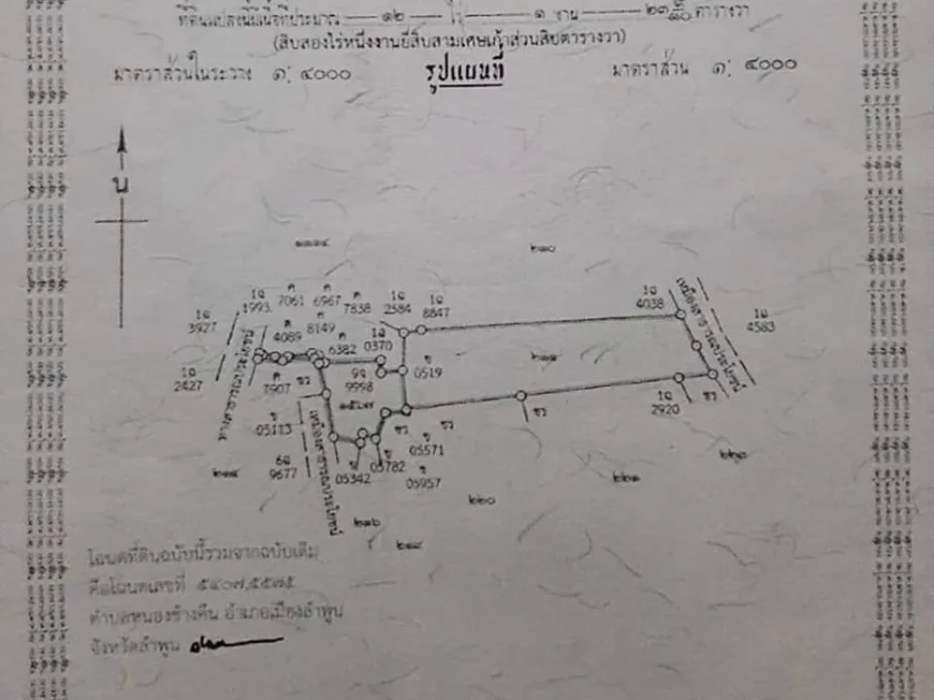 ที่ดินสวนลำไยต้นสัก เขตติดต่อสารภี-เชียงใหม่ ตหนองช้างคืน