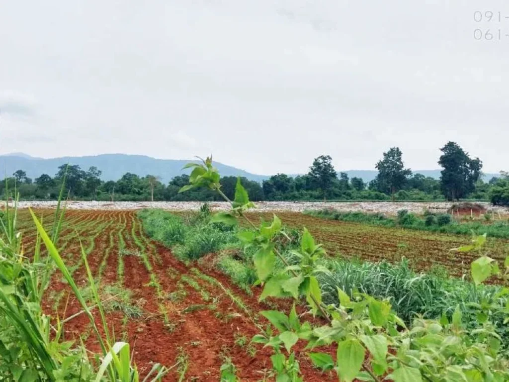 ขายที่ดินเขาใหญ่ ตหมูสี 6ไร่ ทำเลดี ติดถนนลาดยาง วิวเขาสวย