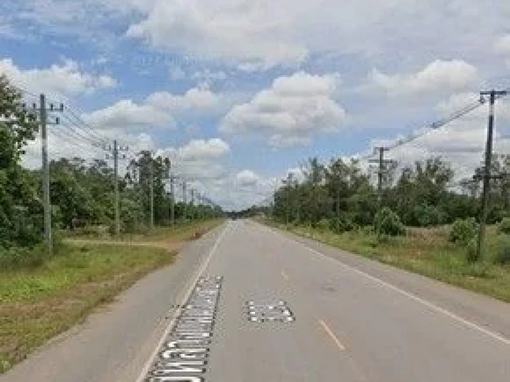 ที่ดินแปลงสวยขายติดถนนทางหลวงแผ่นดิน ตำบล สันพันตา อำเภอนาดี