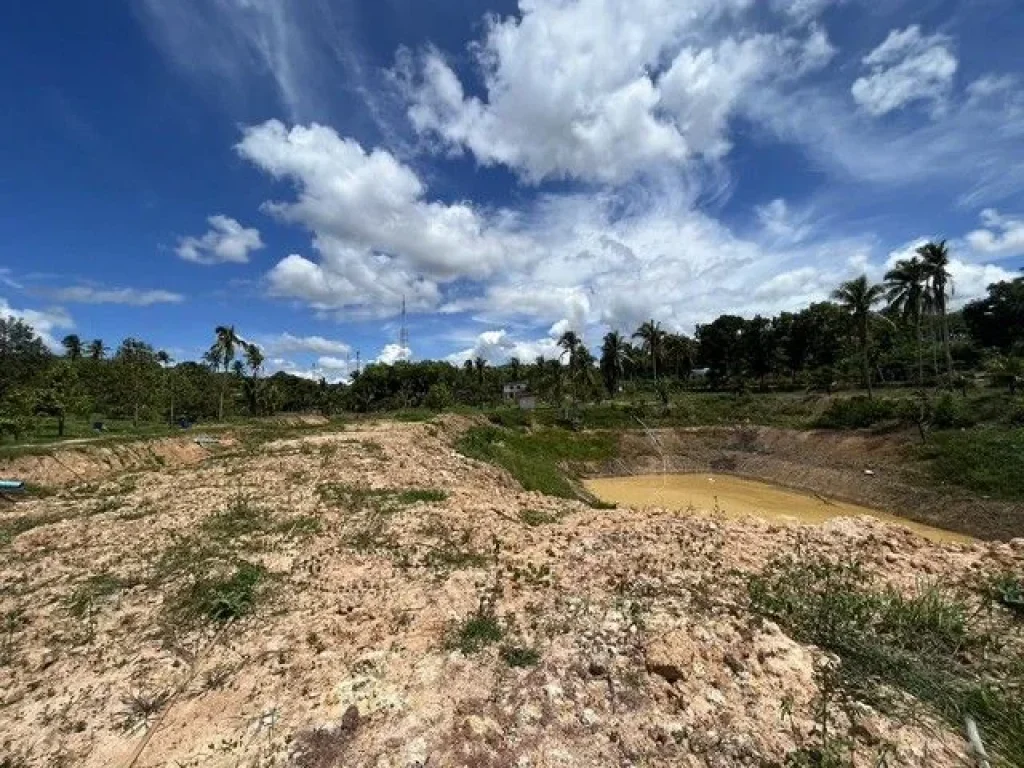 ขายที่ดินในตัวเมืองชุมพร เจ้าของขายเอง ราคาคุ่ยกันได้