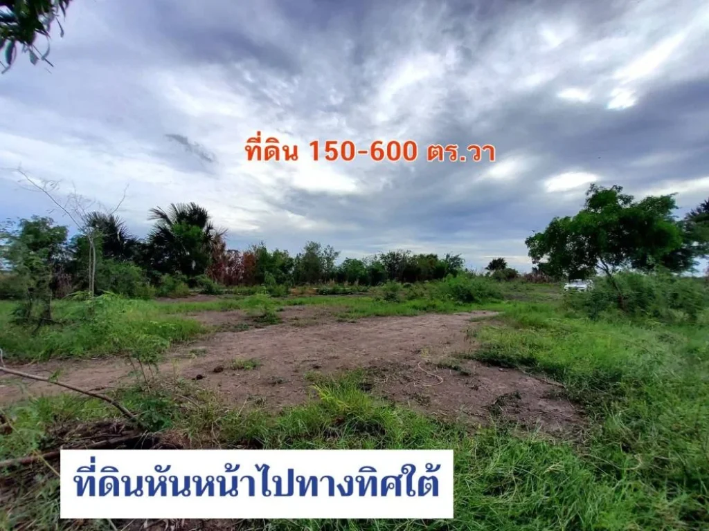 ขายที่ดินสร้างบ้านสวน 150 ถึง 600 ตารางวา ใกล้ ปตทบัวปากท่า