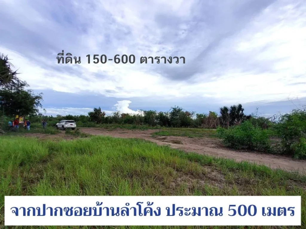 ขายที่ดินสร้างบ้านสวน 150 ถึง 600 ตารางวา ใกล้ ปตทบัวปากท่า