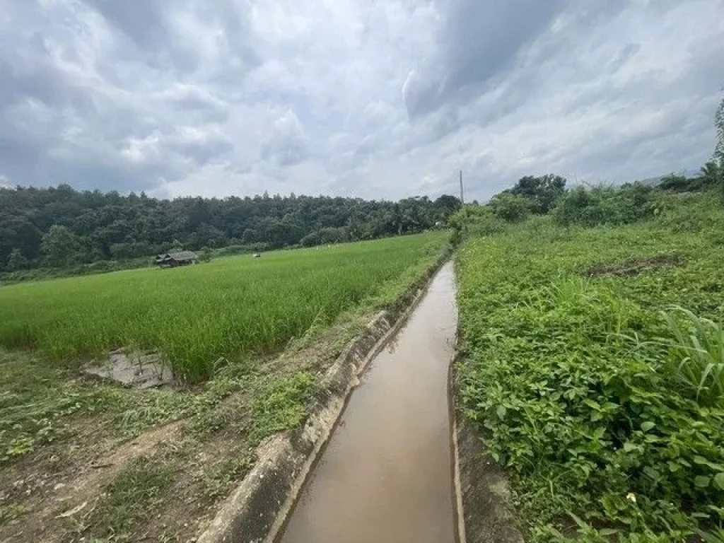 ขายบ้านพร้อมที่ดินแม่แตงทำเลในชุมชนวิวสวยติดลำเหมืองมีน้ำไหล