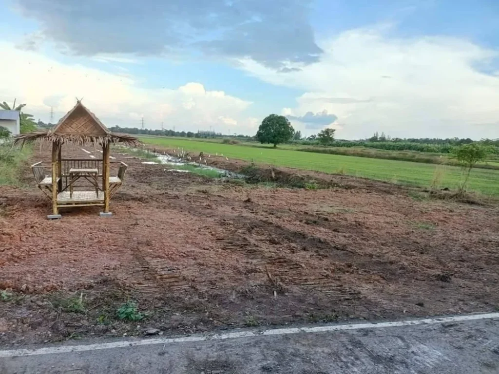 ขายด่วน คลอง 9 หนองเสือ 100-400 ตรวน้ำไฟปักหัวที่