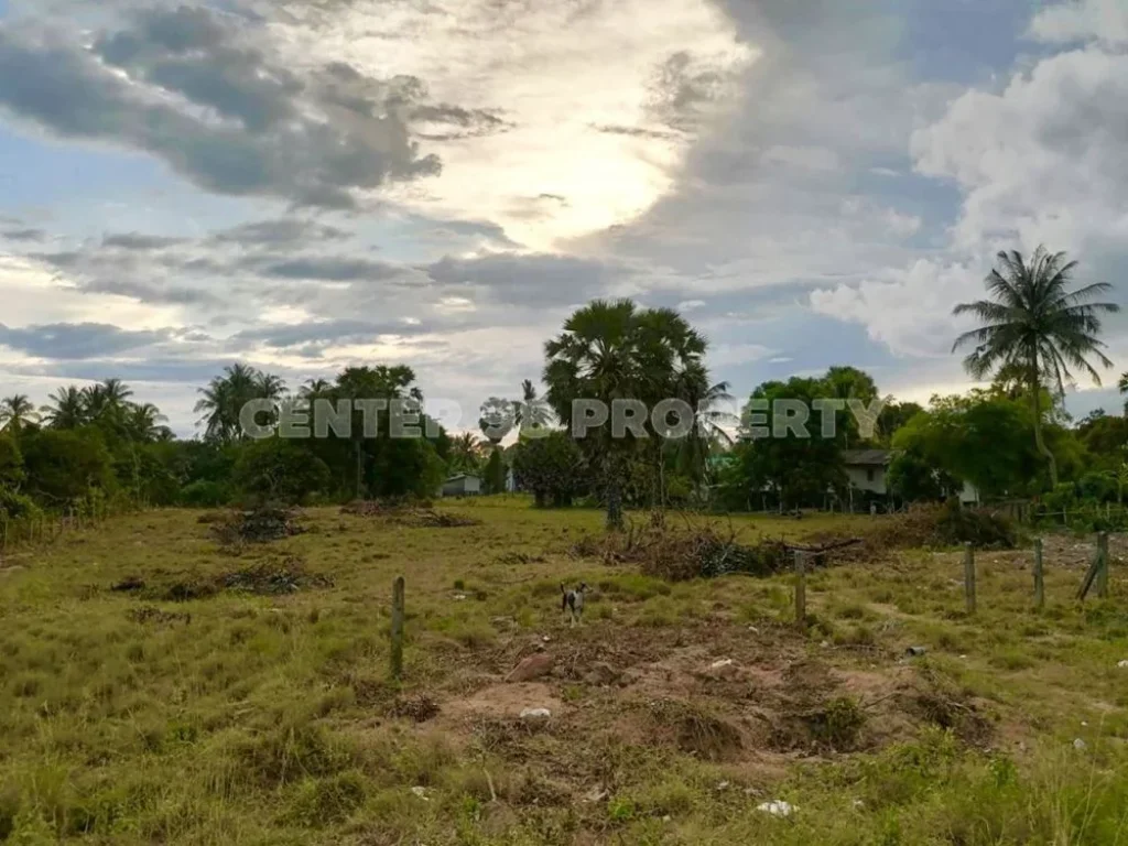 ขาย ที่ดิน แปลงสวย ติดถนนลาดยาง วิวติดทะเล จสงขลา