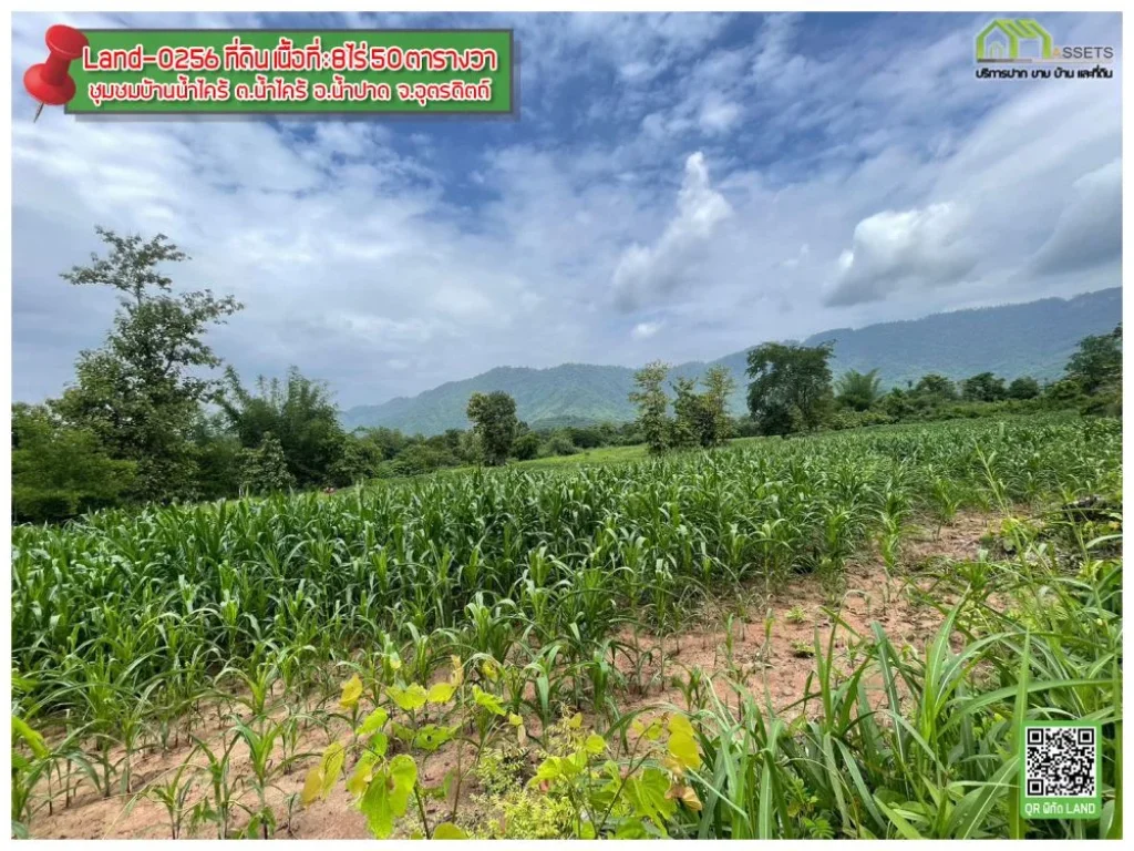 ที่ดิน สำหรับสร้างบ้านหรือการเกษตร ติดถนนสายบ้านน้ำพี้-น้ำปาด