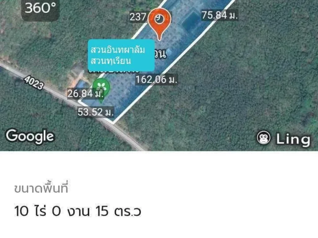 ขายที่ดินสวนทุเรียนและอินทผาลัม อแก่งห่างแมว จจันทบุรี