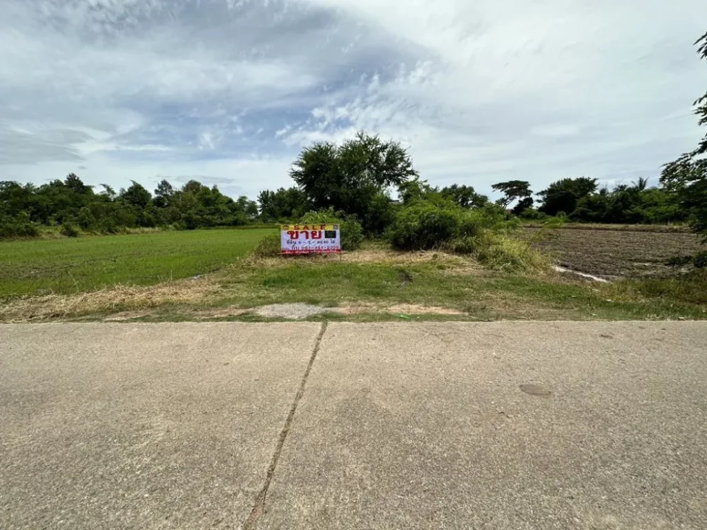 ขายที่ดิน ตำบลศิลา ถเลี่ยงเมืองขอนแก่น ใกล้โรงเรียนบ้านศิลา