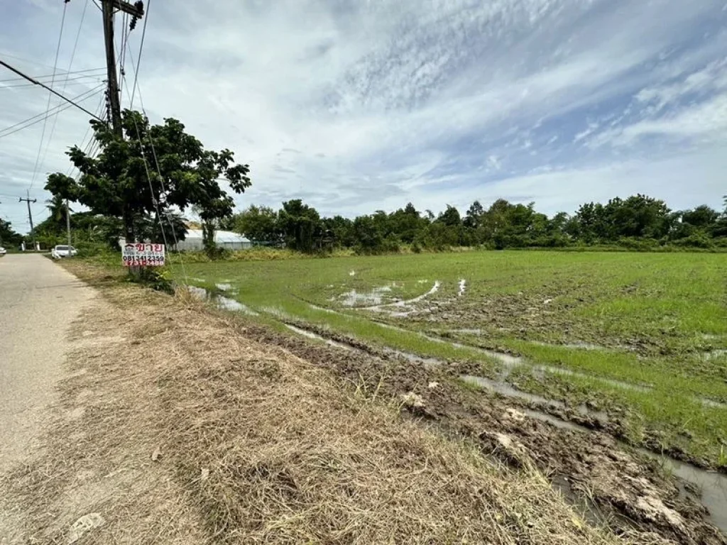 ขายที่ดิน ตำบลศิลา ถเลี่ยงเมืองขอนแก่น ใกล้โรงเรียนบ้านศิลา