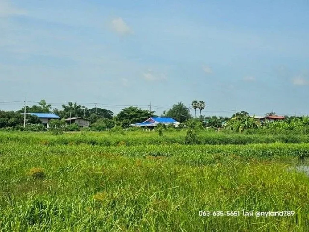 ขายที่ดินสวยวิวเขา ติดถนน 2 ด้าน เหมาะทำบ้านสวนวัยเกษียน