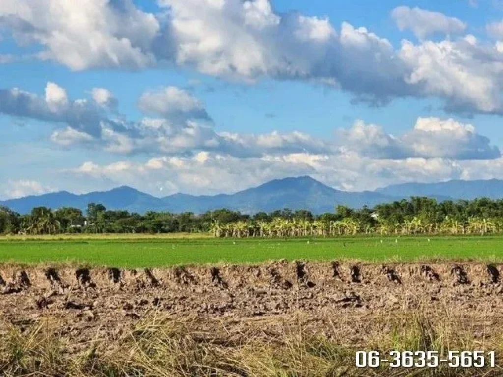 ขายที่ดินสวยวิวเขา ติดถนน 2 ด้าน เหมาะทำบ้านสวนวัยเกษียน