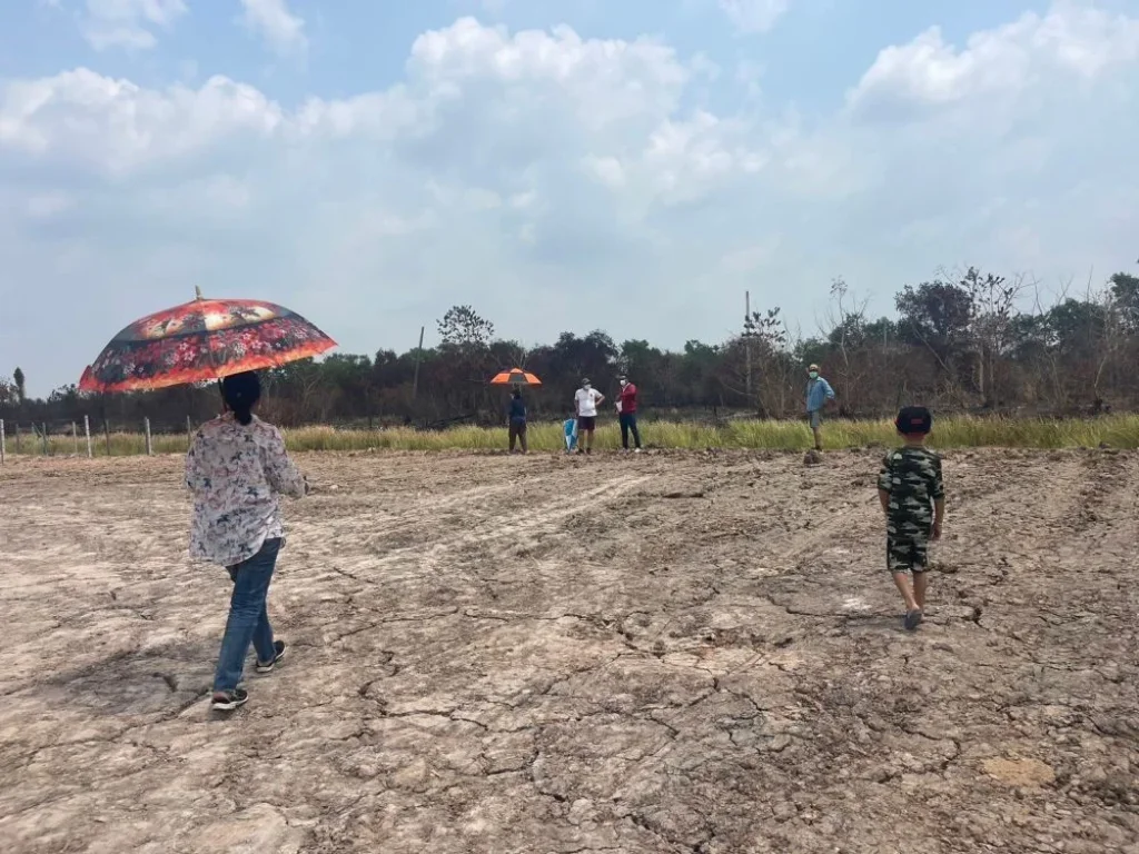 ขายที่ดินบ้านสวนเกษตรริมคลอง คลอง1 เนื้อที่ 222 ตรวองครักษ์