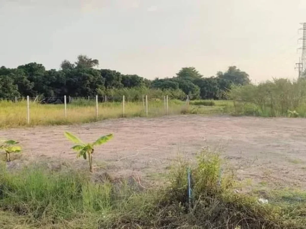 ขายที่ดินติดถนนสองด้านบ้านหารแก้วหางดงโฉนดพร้อมโอน