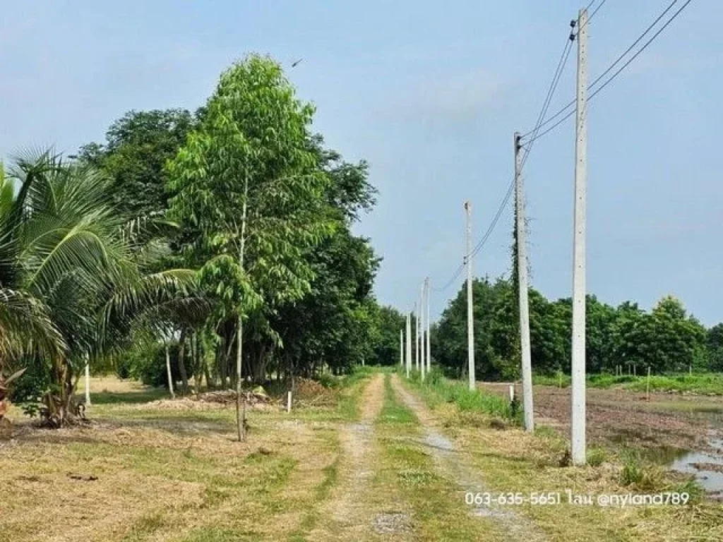 ขายที่สวน ไม่ต้องถม ตบ้านพริก อบ้านนา จนครนายก