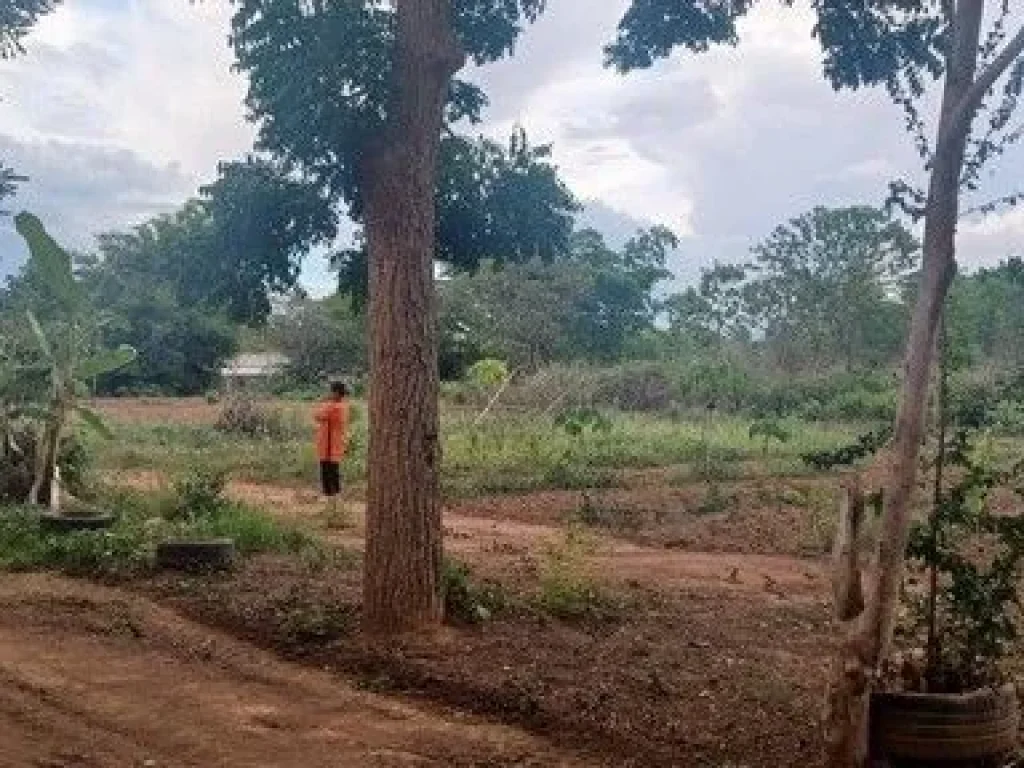 ขายที่ดินแหล่งธรรมชาติ ติดวันดีดีรีสอร์ท เจ้าของขายเอง