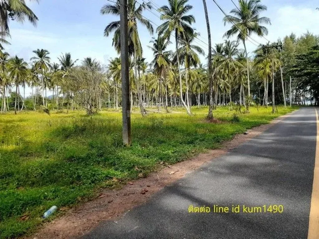 ขายที่ดินริมหาด แหล่งท่องเที่ยวหลัก เจ้าของขายเอง