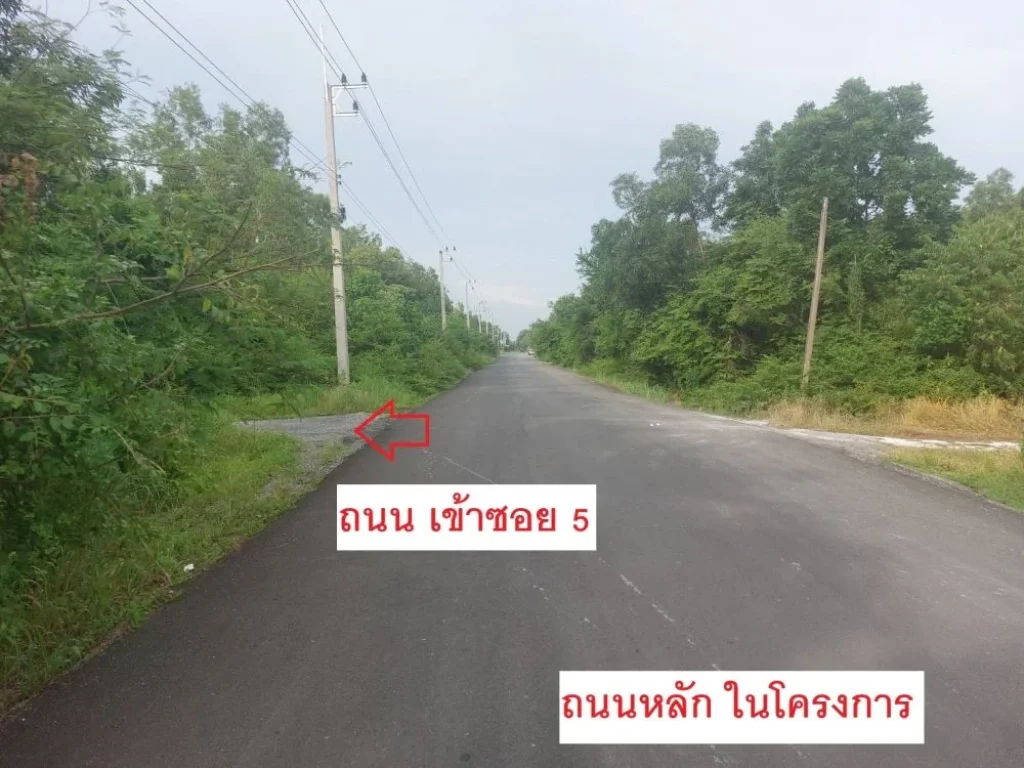 ขายที่ดินเปล่า 2 ไร่ เจ้าของขายเอง ใกล้อบตหนองโรง