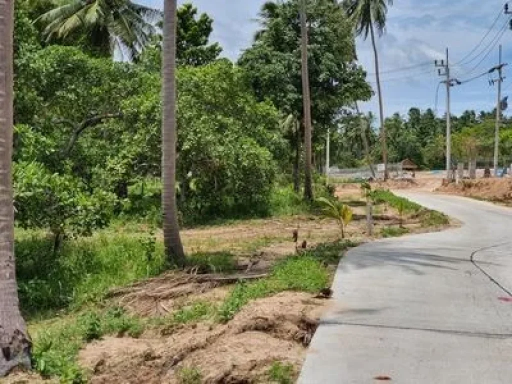 ขายที่ดิน เนินเขา บ้านใต้ ตแม่น้ำ เกาะสมุย จสุราษฏร์ธานี 10