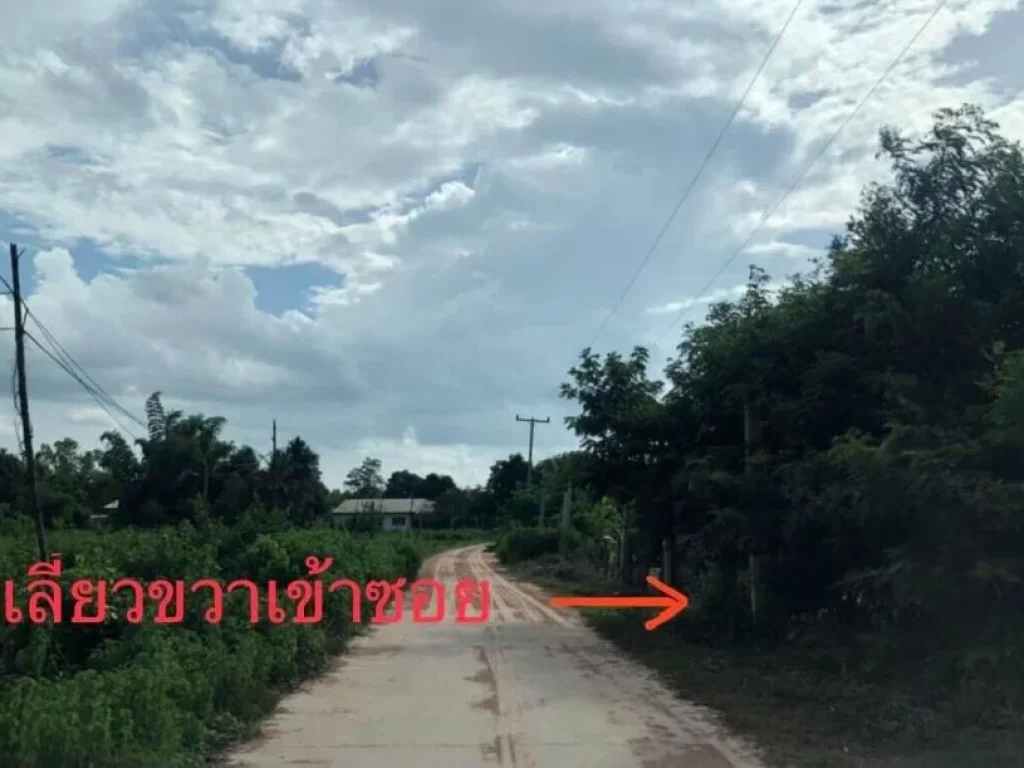 ที่ดิน 51 ตรว ใกล้ บ้านนาแอง ตนิคมสงเคราะห์ อเมือง