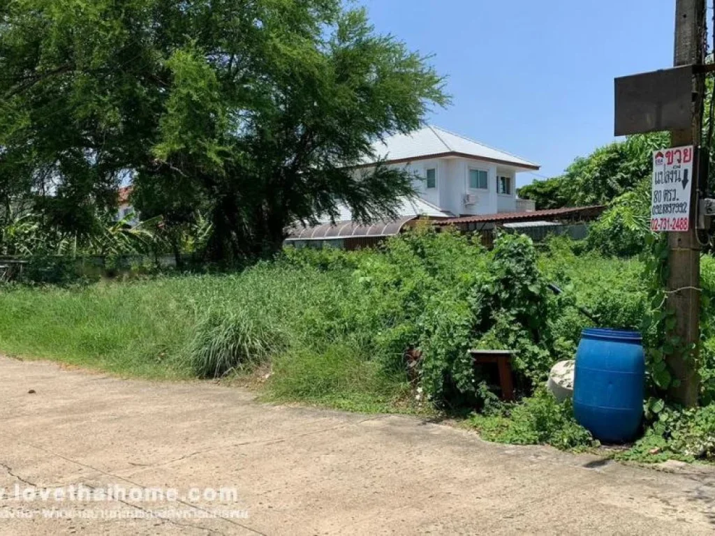 ขายที่ดิน ถบางกรวย-ไทรน้อย หมู่บ้านชลลดา บางบัวทอง พื้นที่