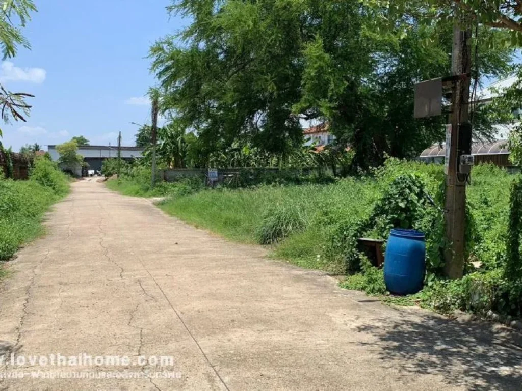 ขายที่ดิน ถบางกรวย-ไทรน้อย หมู่บ้านชลลดา บางบัวทอง พื้นที่