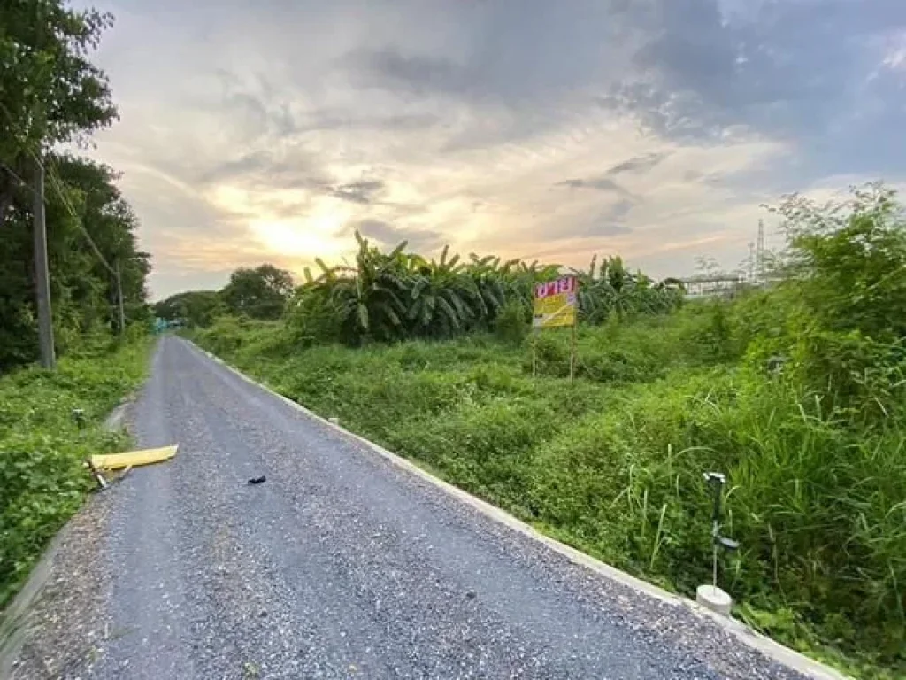 ขายที่ดินเปล่า พัฒนาการ69 เนื้อที่ 73 ตรวา ทำเลดี