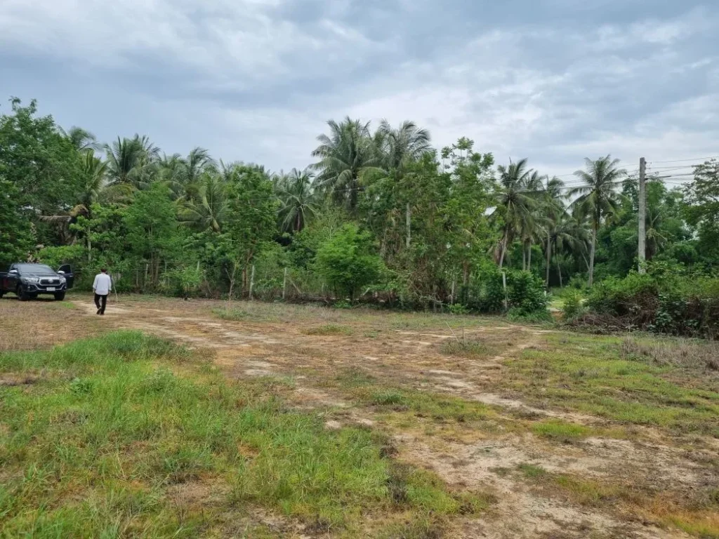 ขายที่ดิน พื้นที่ทับใต้อหัวหิน เนื้อที่ 4 ไร่ ที่ดินเปล่า