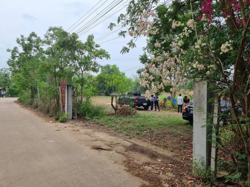 ขายที่ดิน พื้นที่ทับใต้อหัวหิน เนื้อที่ 4 ไร่ ที่ดินเปล่า