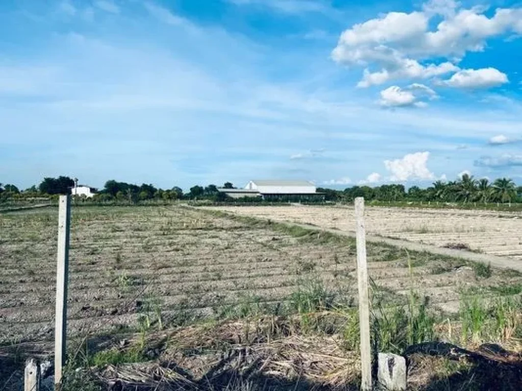 ขายที่ดิน 30 ไร่ ติดถนนบางกรวย-ไทรน้อย สี่แยกไทรน้อย คลองขวาง