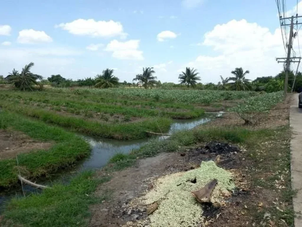 ขาย ที่ดิน 4 ไร่ ตำบลวัดละมุด อำเภอนครชัยศรี จังหวัดนครปฐม