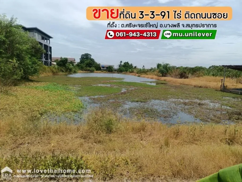 ขายที่ดินบางพลี ศรีษะจรเข้ใหญ่ สมุทรปราการ พื้นที่ 3-3-91 ไร่