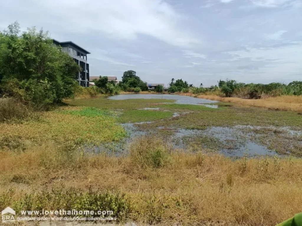 ขายที่ดินบางพลี ศรีษะจรเข้ใหญ่ สมุทรปราการ พื้นที่ 3-3-91 ไร่