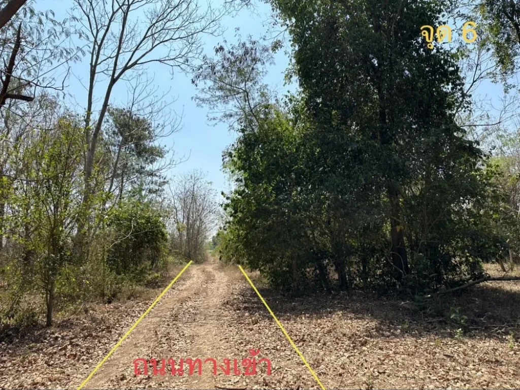 ที่ดิน 80 ตรว ใกล้บ้านแม่นนท์ ตหนองไผ่ อเมือง จอุดรธานี