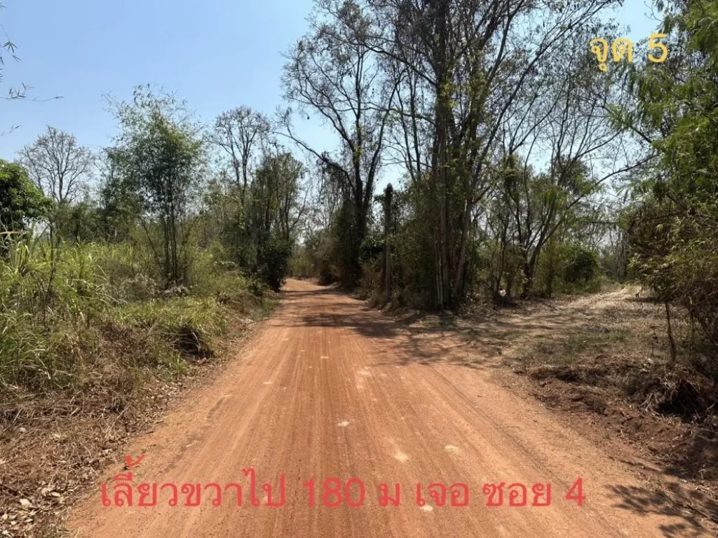 ที่ดิน 80 ตรว ใกล้บ้านแม่นนท์ ตหนองไผ่ อเมือง จอุดรธานี