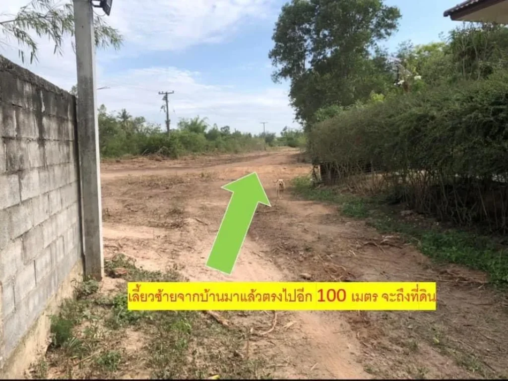 ที่ดิน 231 ตรว ใกล้ มธันวาทาวน์ ตบ้านเลื่อม อเมือง