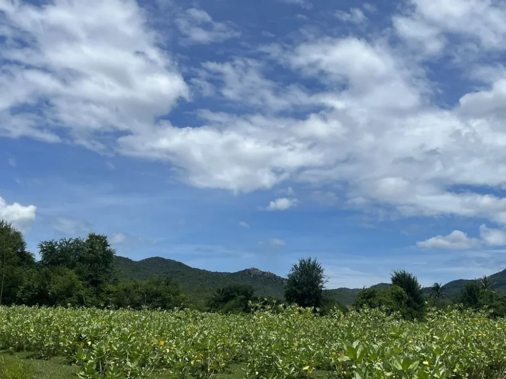 ที่ดินเหมาะสำหรับปลูกบ้านพักอาศัยและทำสวนเกษต ยามเกษียณ