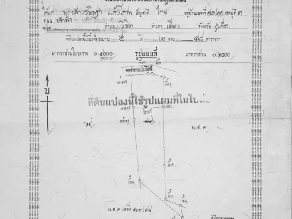 ขายด่วนที่ดิน 55 ไร่ อเมือง ตเกาะแก้ว ภูเก็ต แหล่งชุมชน