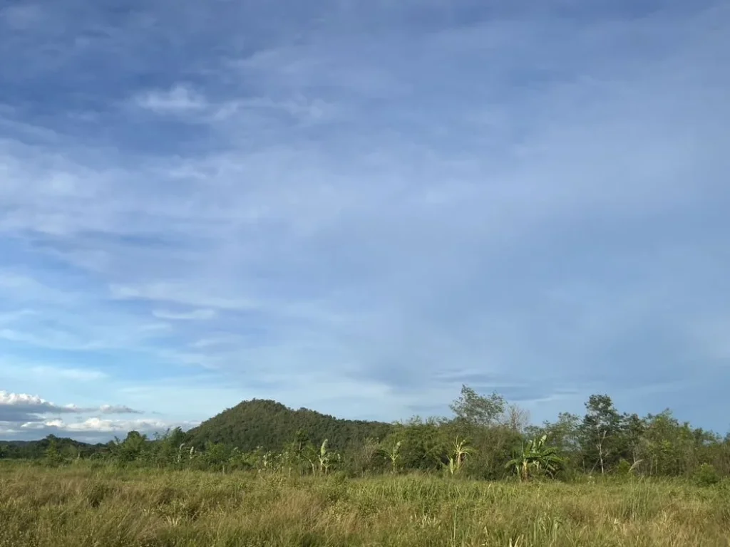 ที่ดินติดลหัวย วิวภูเขา มีส่วนเกิน 6 ไร่ กว่า เจ้าของยกให้ฟรี