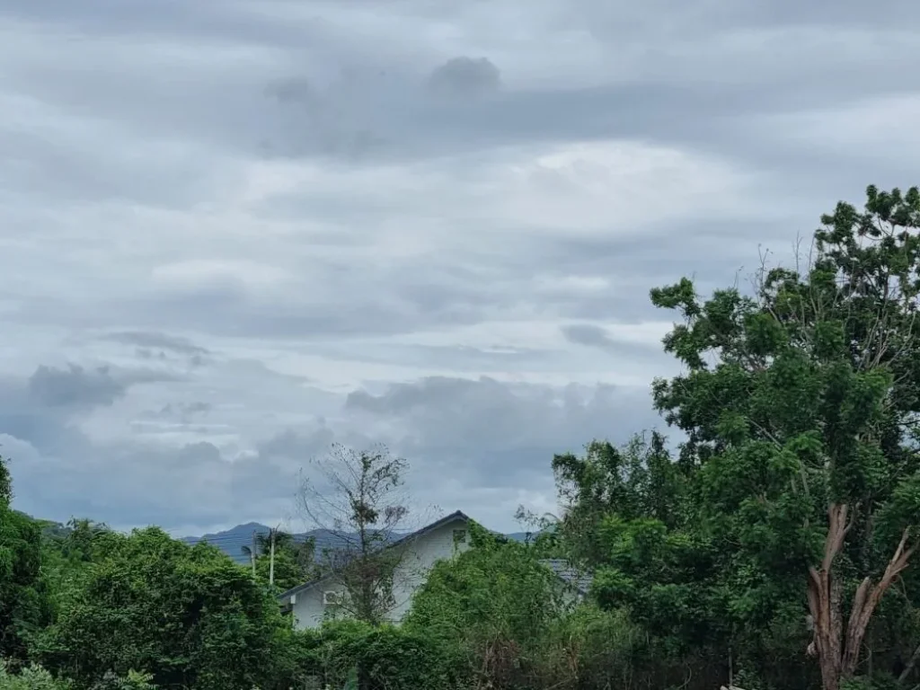 ขายที่ดิน ในอหัวหิน เส้นหัวหิน-ป่าละอู เนื้อที่ 1 ไร่