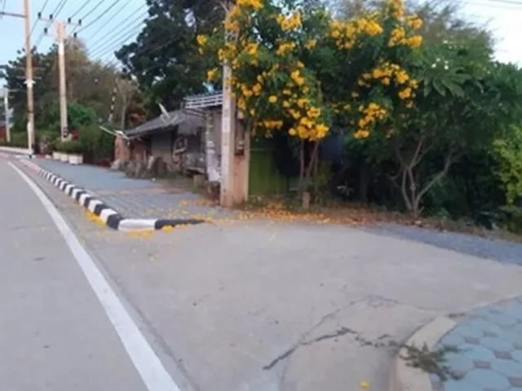 ขายที่ดินติดถนนมาลัยแมน อำเภอสองพี่น้อง จังหวัดสุพรรณบุรี