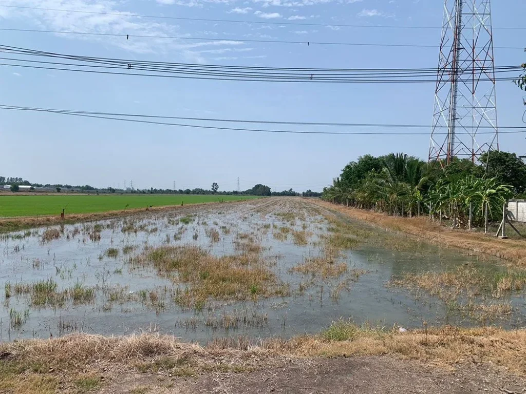 ขายที่ดินเปล่า ทำเลสวยๆ เหมาะที่จะเป็นโครงการที่อยู่อาศัย