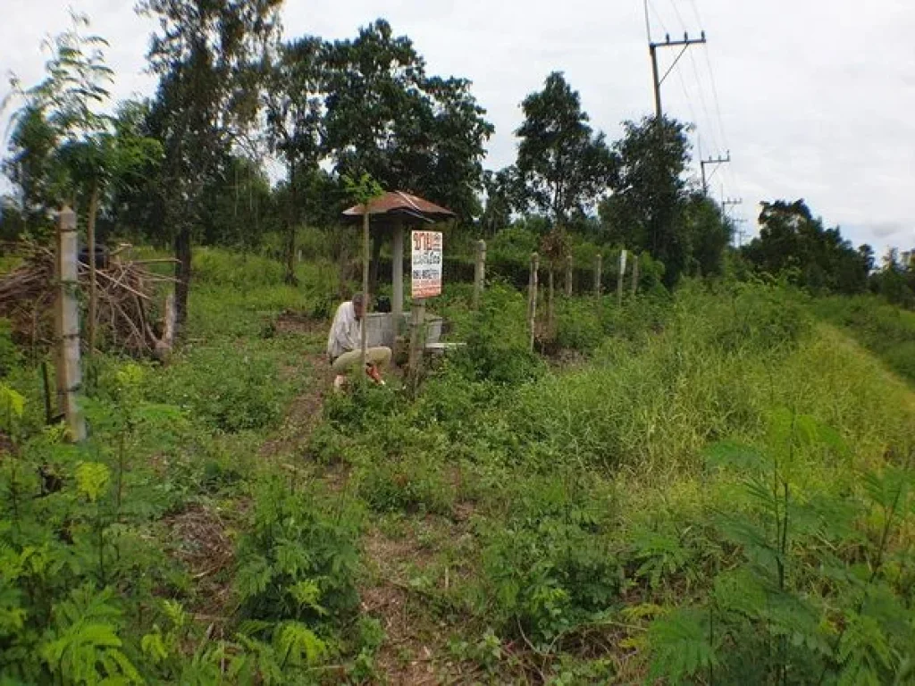 ขายที่ดินลำลูกกา คลอง 16 ถนนลำลูกกา อำเภอองครักษ์ นครนายก