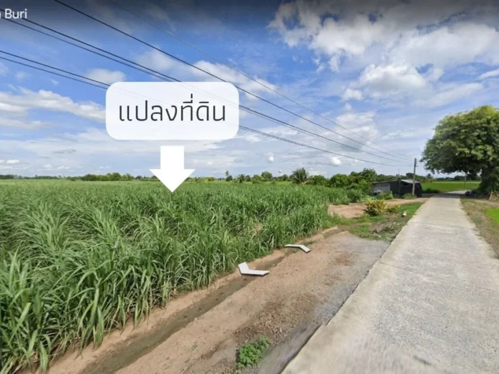 ที่ดินสวย ตดอนปรู อศรีประจันต์ จสุพรรณบุรี