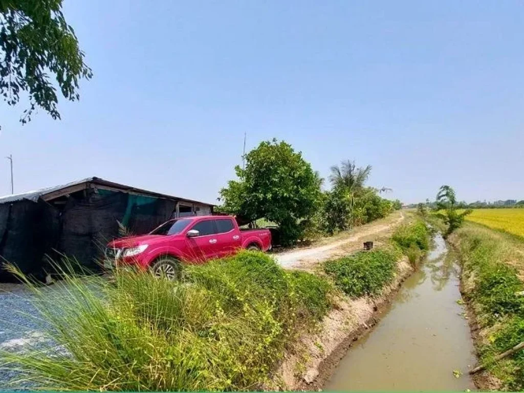 ที่ดินสวย ตดอนปรู อศรีประจันต์ จสุพรรณบุรี